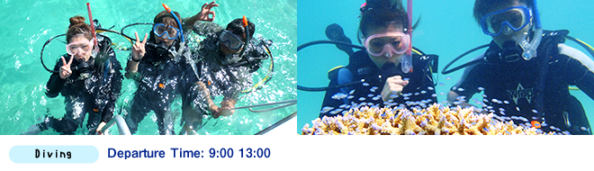 Half Day 3-hr Introductory Diving